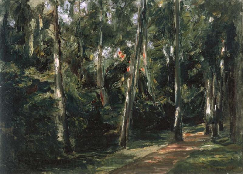 Max Liebermann The Birch-Lined Avenue in the Wannsee Garden Facing Southwest France oil painting art